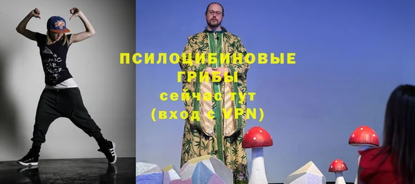 ALPHA PVP Аркадак