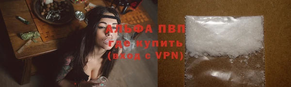 стафф Арсеньев