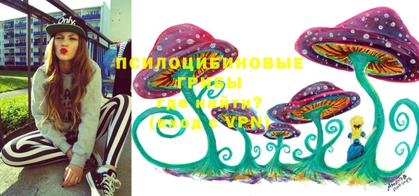 стафф Арсеньев